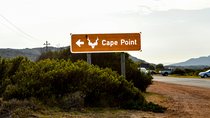 Private Cape of Good Hope Sightseeing and African Penguin Tour