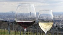 In Vienna Veritas - An Exclusive historical Wine tasting tour