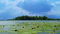 Classic Hangzhou Two-Day Tour with A Depth-Explore to Xixi Wetland Park