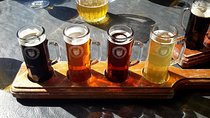 EVERYDAY Krakow Beer Tasting Tour