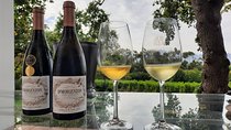 Full-Day Private Guided Wine Tasting Tour of Cape Wineries
