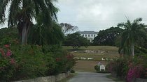 Rosehall Great House and Montego Bay Half Day Private Tour