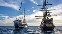 Yo Ho Pirate Sunset Dinner Cruise in Cabo San Lucas