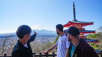 Mt. Fuji Private Chartered Tour with Nature and Wasabi Farm