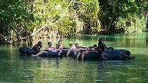 Blue Hole and River Tubing from Ocho Rios