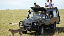 3-Day Jeep Safari Tour in Maasai Mara from Nairobi