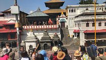 Halfday Tour of Pashupatinath Temple and Boudhanath Stupa