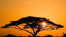 3 Days Amboseli National Park Guided safari from Nairobi