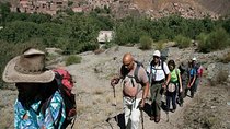 Combined Toubkal Trekking and Zagora Desert tour