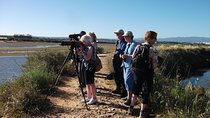 Birdwatching at Ria de Alvor