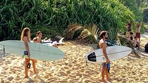 Surf Spots Tour Include Wildlife and Sightseeing