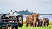 Udawalawe National Park Safari with Naturalist