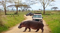 Day Tour To Lake Nakuru Park With Optional Boat Ride at Lake Naivasha