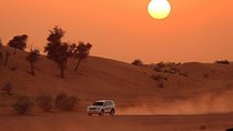 Desert Safari (Private Vehicle)