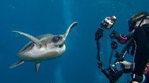 UNDERWATER PHOTOGRAPHY SPECIALITY - Improve your creativity and find your style