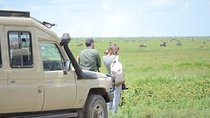 3 Days private safari Tarangire ,Ngorongroro crater &Manyara
