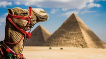 Private Tour: Giza Pramids, Sphinx, Egyptian Museum& Bazaars From Cairo
