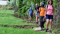 Trekking to Heeloya village from Kandy