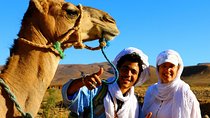 From Marrakech: Private 12 Days Camel Trekking in Southern Morocco Erg Chegaga