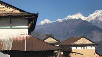 gurung village(puma) tour( no permit needed )