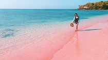 Lombok Pink Beach Island Hopping & Snorkeling with Japanese Speaking Guide