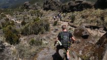 Mount Kilimanjaro Day Hike
