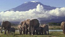  Amboseli National Park 3-Day Safari 