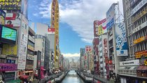 Half-Day Private Guided Tour to Osaka Minami
