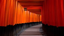 Kyoto Private Customizable Full Day Tour