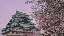 Nagoya Private Customizable Half Day Tour