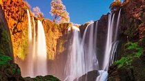 From Marrakech : Shared Tour to Ouzoud Waterfalls