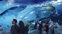 Antalya Aquarium Tour Platinium Tour