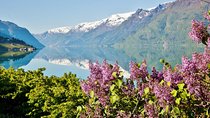 AMAZING HARDANGER FJORD: Private guided round trip from Bergen, 10 hours