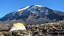 9 Days Kilimanjaro Hiking | Climbing via Northern Circuit route