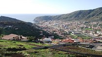 Madeira: Half-Day Private Walking Tour to Levada do Caniçal and Machico