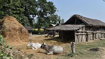 5 Days Exclusive Exposure To Learn Ancient Rural Farming Near Pokhara Valley
