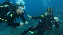 TRY SCUBA DIVING with a Dedicated Instructor