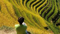 7-Day Private Tour from Beijing to Guilin, Longji Terraces,Sanjiang and Yangshuo