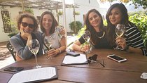 Cape Winelands Stellenbosch Franschhoek Paarl Tour from Cape Town