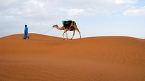 7-Day Best of Morocco Private Tour from Marrakech