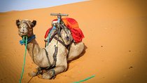 5 Days Merzouga Sahara Tour from Marrakech with Pickup