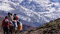 5-Day Mount Toubkal Ascent Trekking Tour from Marrakech