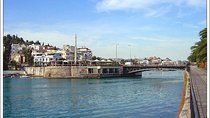 Thebes & Chalkida Island Private Tour from Athens