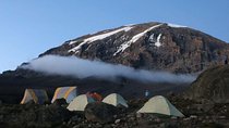 7-Day Kilimanjaro Climb Machame Route–The Best Path to Uhuru Peak