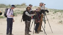 Birdwatching at Abicada and Alvor dunes