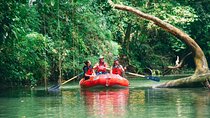 Jungle Safari Float on Sarapiqui River from La Fortuna