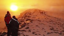 Climb Kilimanjaro 8-Day Lemosho Route with Stunning Scenic Views