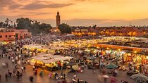 Marrakech Experience: Half-Day Walking Tour with Expert Guide