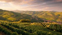 Full-Day Valpolicella Private Tour from Milan with Wine Taste