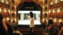 Small-Group City Tour with visit to Teatro Colon in Buenos Aires